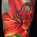 Tattoos - Lilies Flowers - 72728